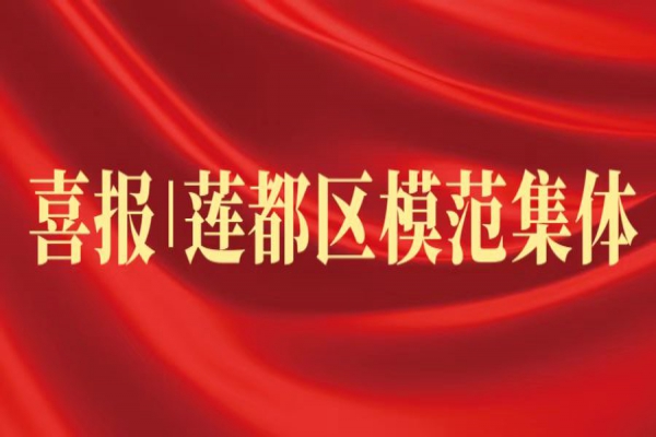 喜報丨浙江中立建設榮獲蓮都區“模范集體”稱號！